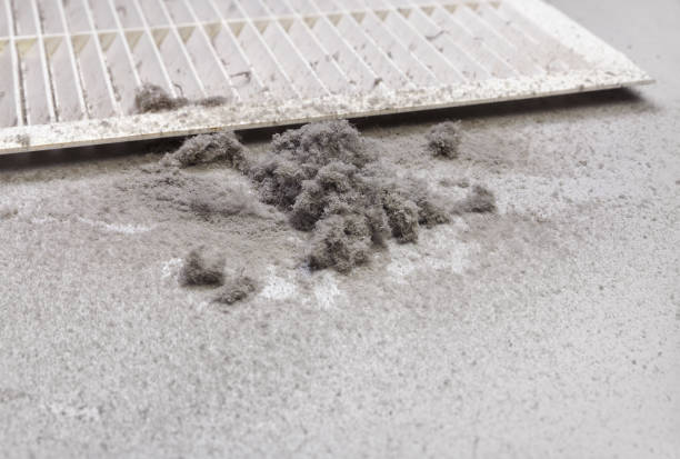 Best HVAC System Cleaning  in Osseo, MN